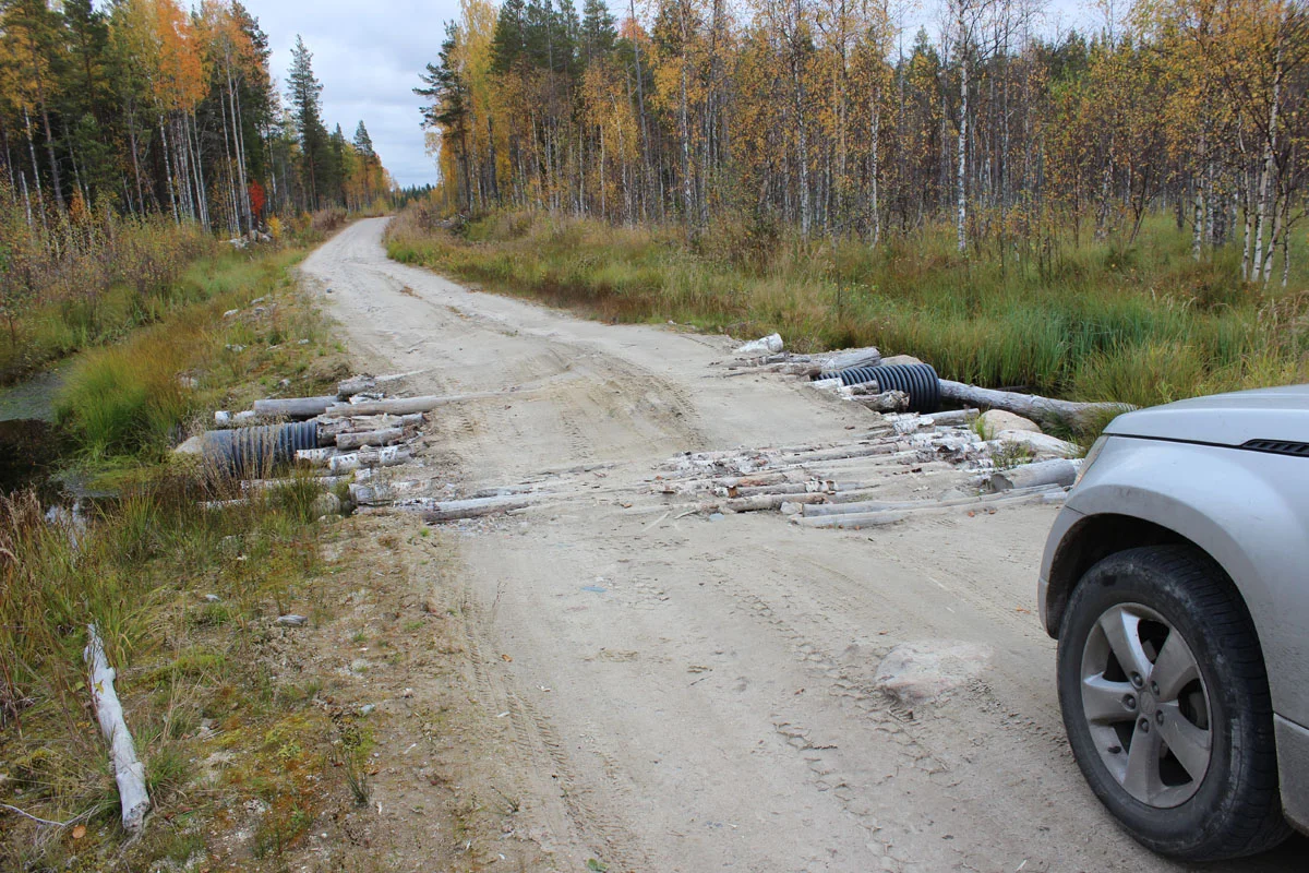 Грунтовая лесная дорога